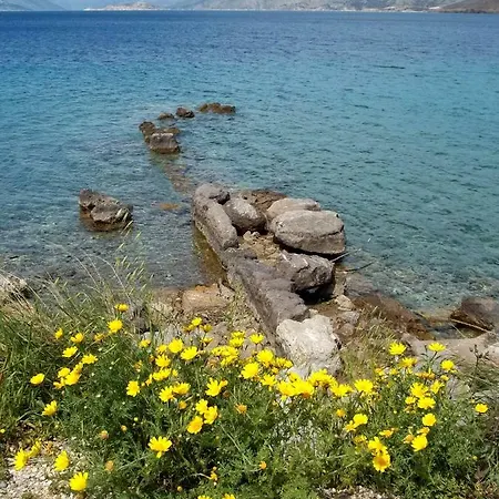 Villla Giallo Landhaus *